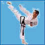 taekwondo